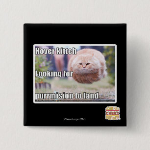 Schwebeflug kitteh button