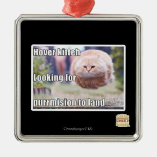 Schwebeflug kitteh silbernes ornament
