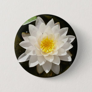 Schwebende Weiße Wasserlilie Lotus Button