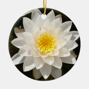 Schwebende Weiße Wasserlilie Lotus Keramik Ornament