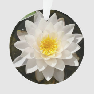 Schwebende Weiße Wasserlilie Lotus Ornament