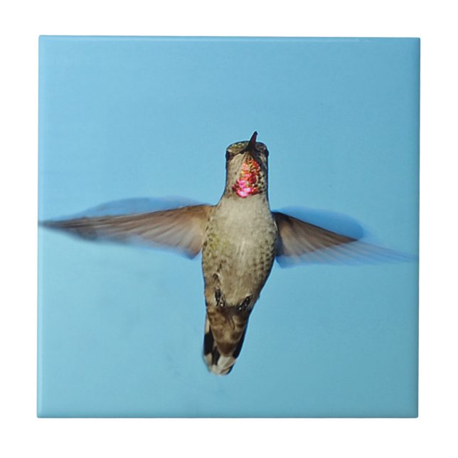 Schwebender Kolibri Fliese (Vorderseite)