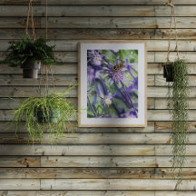 Schwebfliege auf lila Eryngium-Distelblüte