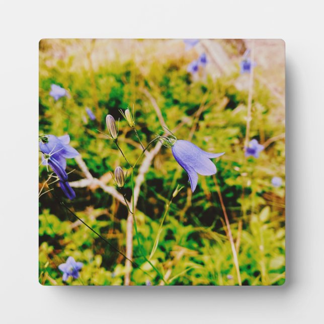 Schwedisch Bluebell Fotoplatte (Vorderseite)