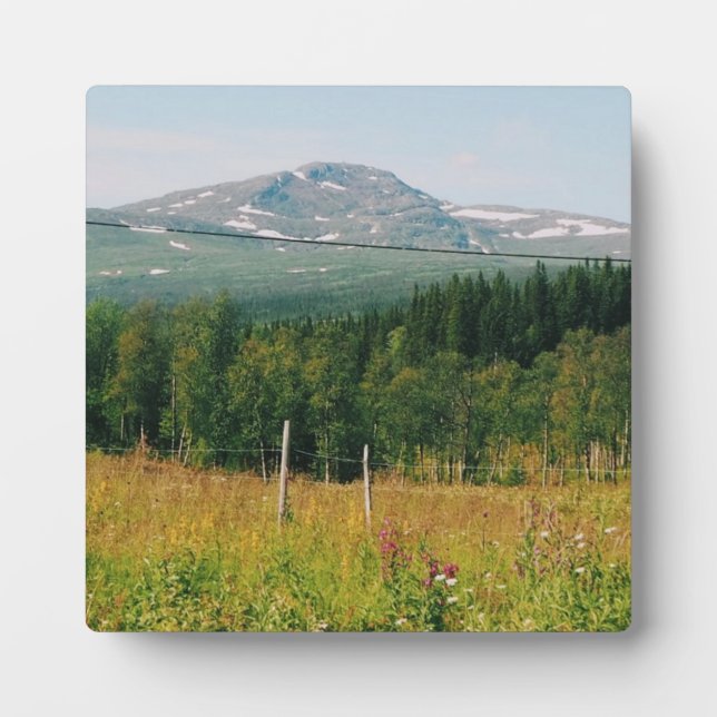 Schwedische Bergwelt Fotoplatte (Vorderseite)