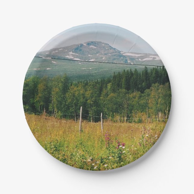 Schwedische Bergwelt Pappteller (Vorderseite)