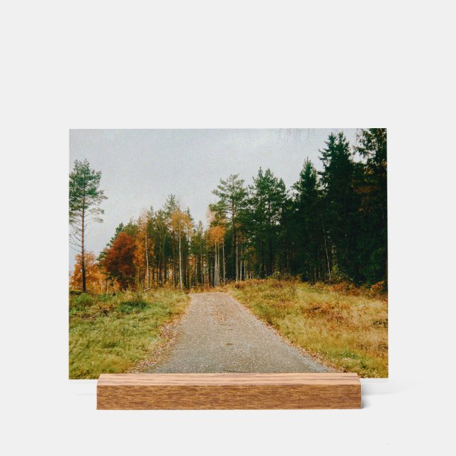 Schwedischer Urwald Acrylschild (Vorderseite)