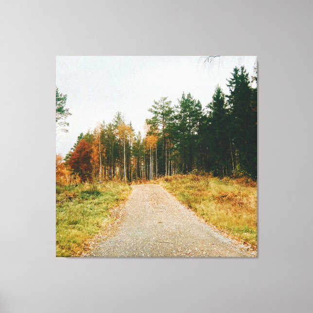 Schwedischer Urwald Leinwanddruck (Vorderseite)