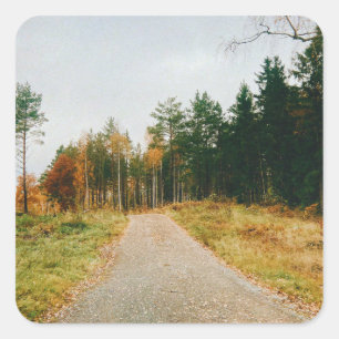 Schwedischer Urwald Quadratischer Aufkleber