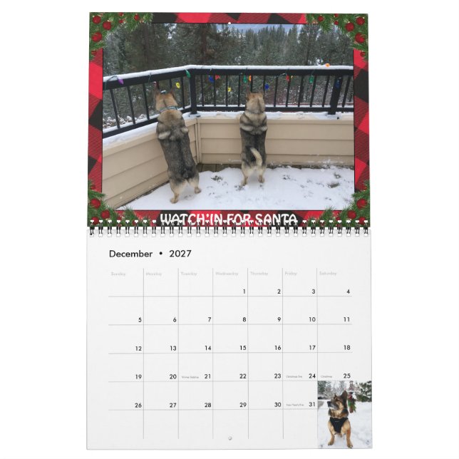 Schwedischer Vallhund-Kalender Kalender (Dez 2027)