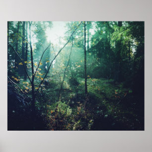 Schwedischer Wald Poster