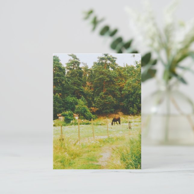 Schwedisches Gebiet Postkarte (Stehend Vorderseite)