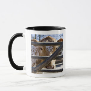 Schwedisches Gebirgsvieh (Skansen) Tasse
