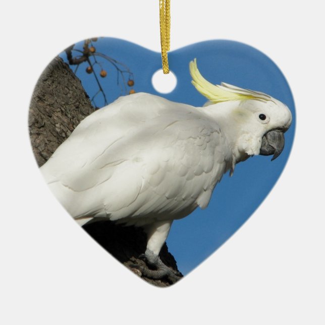 Schwefel Cockatoo mit Haube Keramikornament (Vorne)