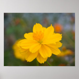 Schwefel Cosmos 02 Poster