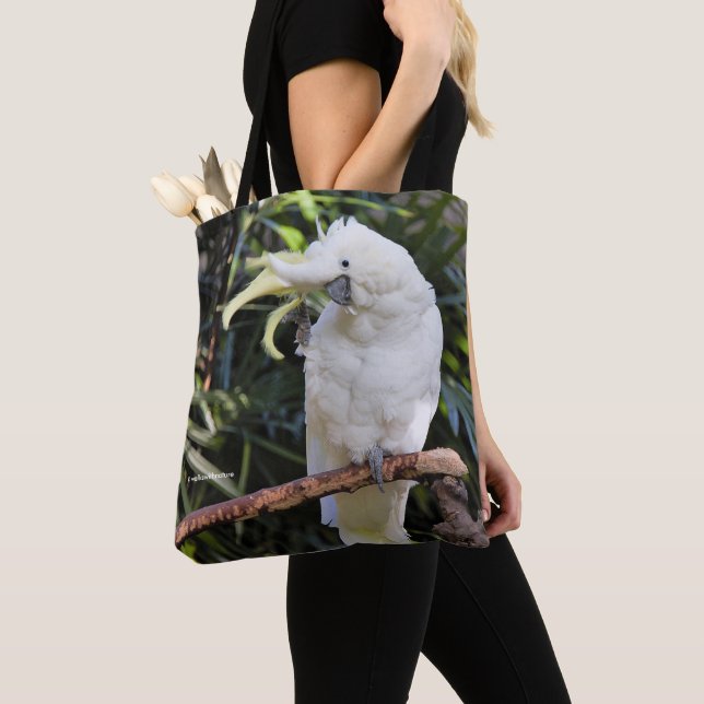 Schwefelgezauberte Kakatoowellen beim Fotografen Tasche (Von Nahem)