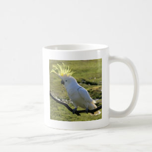 Schwefelkakadu in Australien Kaffeetasse