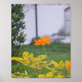 Schwefelkosmos 03 poster