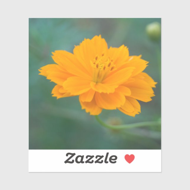 Schwefelkosmos 04 aufkleber (Blatt)