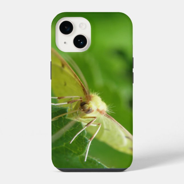 Schwefelzitterfalter iPhone Hülle (Rückseite)