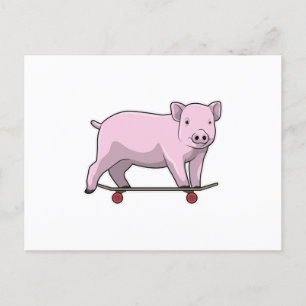 Schwein als Skater mit Skateboard Postkarte