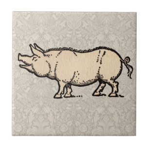 Schwein Antikes Schweine Niedliche Vintage Illustr Fliese