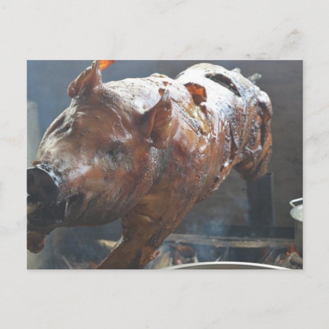 Schwein auf der Spuckkarte Postkarte (Vorderseite)
