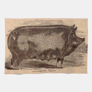 Schwein Druck Berkshire Sauen Nr. 1 aus dem 19. Ja Geschirrtuch