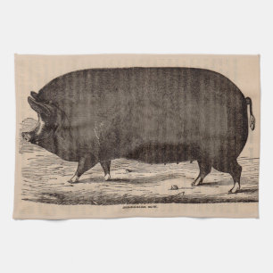Schwein Druck Berkshire Sauen Nr. 2 aus dem 19. Ja Geschirrtuch