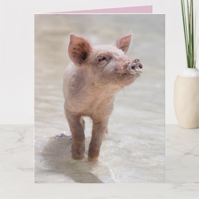 SCHWEIN HOG LIEBES KARTE KARTEN (Vorderseite)