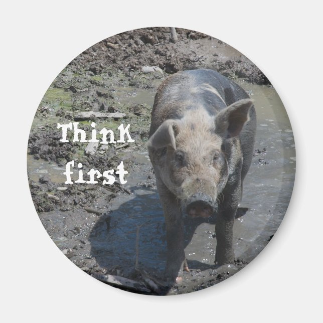Schwein im Pen-Magnet Magnet (Vorne)