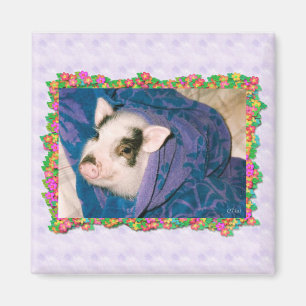 Schwein im Tuch-Verpackungs-Quadrat-Magneten Magnet