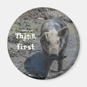 Schwein in einem Stift-Magneten Magnet