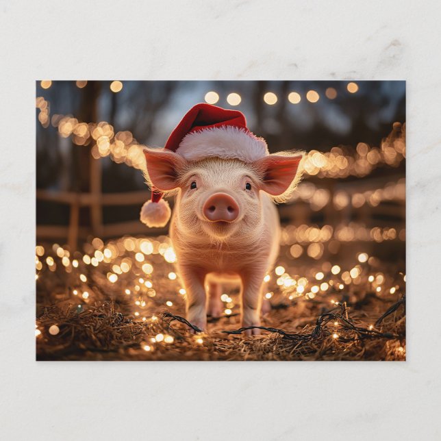 Schwein in einer Weihnachtsmannmütze Postkarte (Vorderseite)