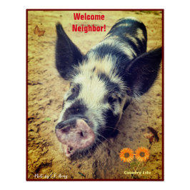 Schwein - Landleben Poster