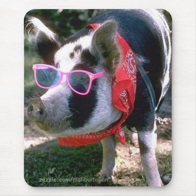 Schwein mit Sonnenbrille und Bandana Mousepad (Vorne)
