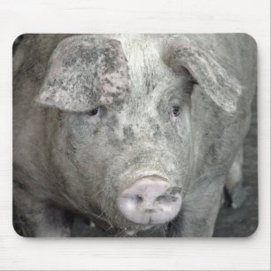 Schwein Mousepad