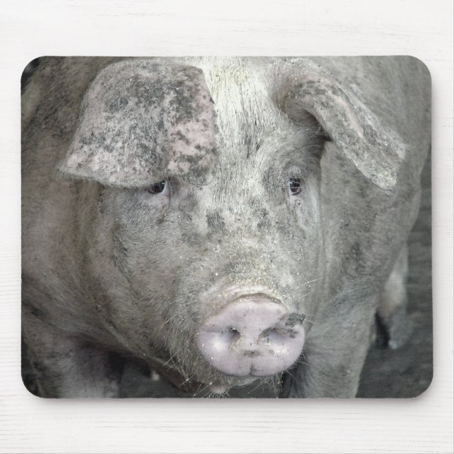 Schwein Mousepad (Vorne)