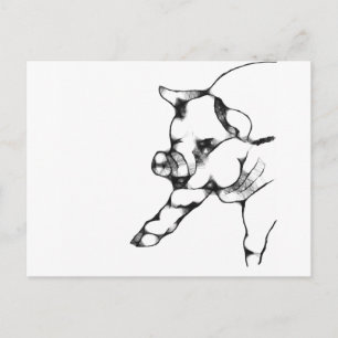 Schwein Postkarte
