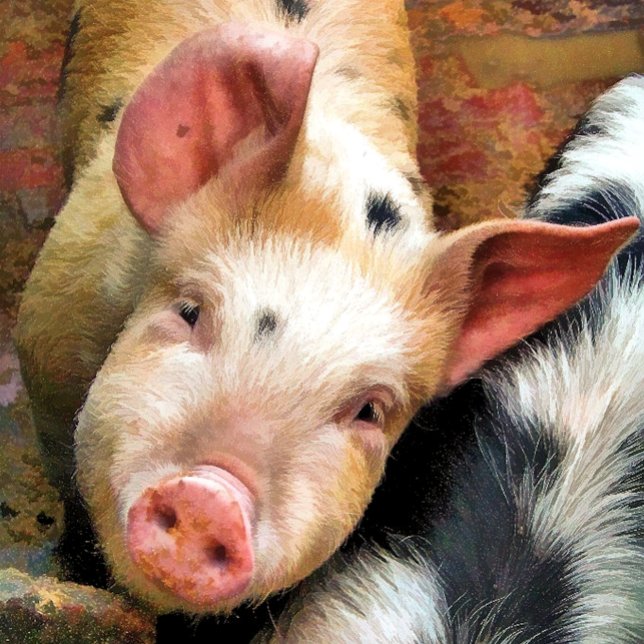 SCHWEIN SCHLÜSSELANHÄNGER (Von Creator hochgeladen)