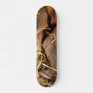 SCHWEIN SKATEBOARD