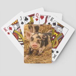 Schwein Spielkarten