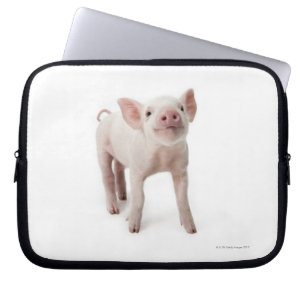 Schwein-stehendes oben schauen laptopschutzhülle