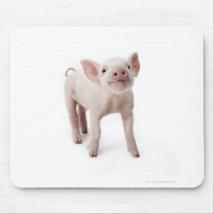 Schwein-stehendes oben schauen mousepad