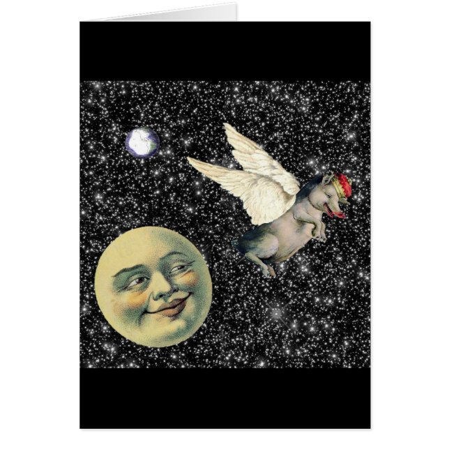 Schwein-Träume (Vorne)