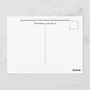 Schwein und Ziegen liegen in einem Feld. Postkarte
