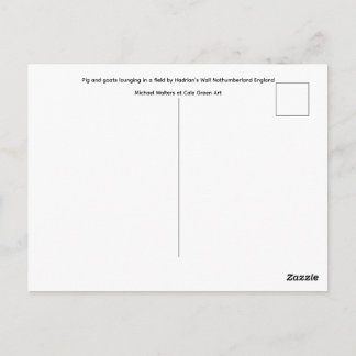 Schwein und Ziegen liegen in einem Feld. Postkarte