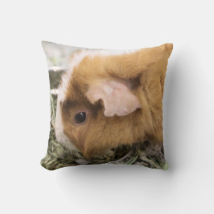 Schweinchen Kissen