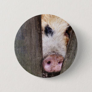 SCHWEINE BUTTON