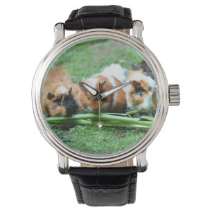 Schweine der abyssinischen Guinea Armbanduhr